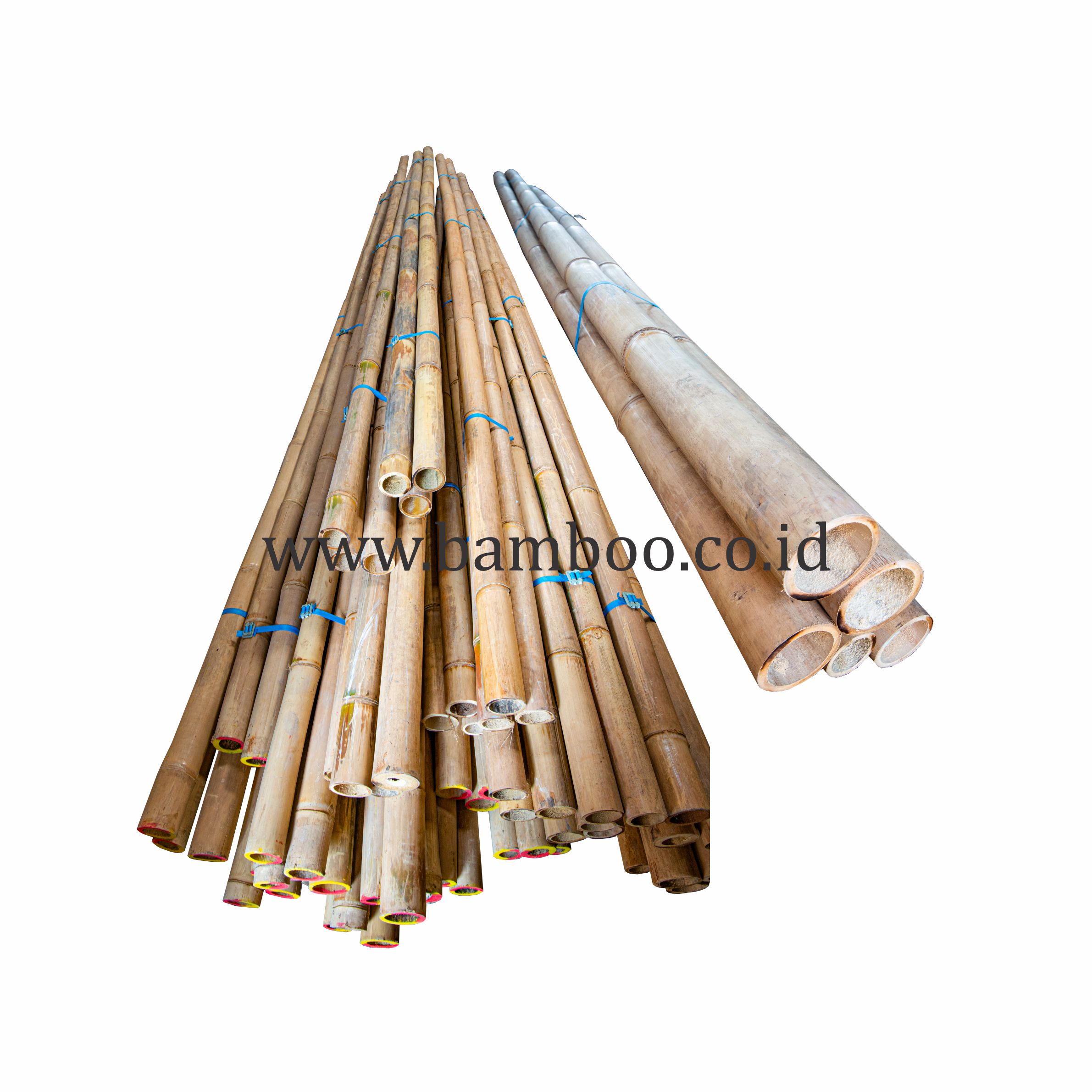 Bamboo Poles for Construction and Home Decor | Natural 2 - 4 Meter Natural Color